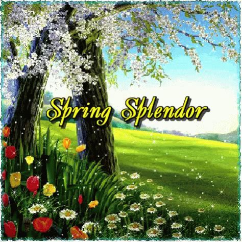 spring gif|spring gif transparent.